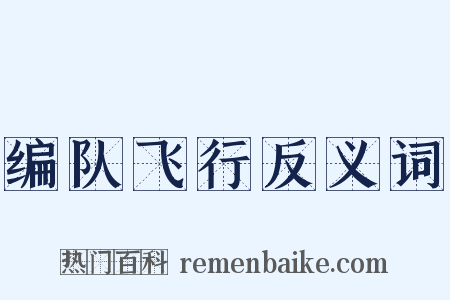 编队飞行反义词是什么意思的图片